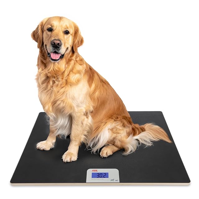 Plateau de balance numérique ADE XL pour grands chiens