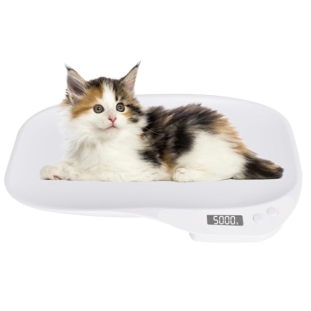 Balance numérique Colexy pour petits animaux