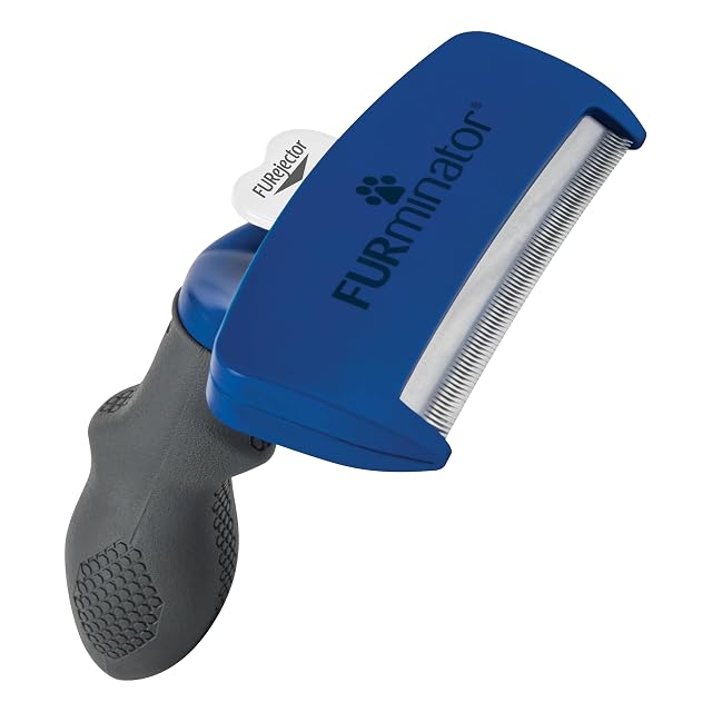 Outil de mue FURminator taille L pour chiens à poil court
