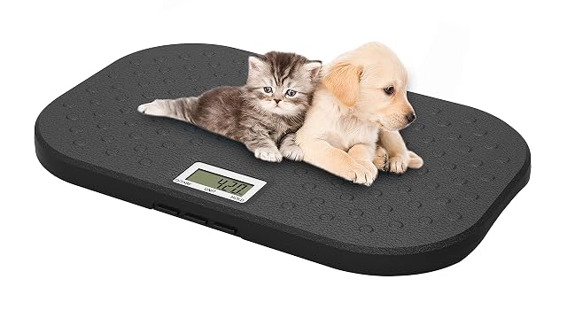 Balance vétérinaire numérique i-pouch EB527 pour animaux