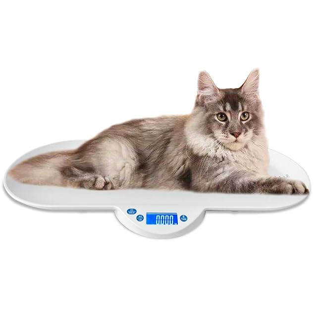 Balance numérique pour animaux MINDPET-MED avec plateau
