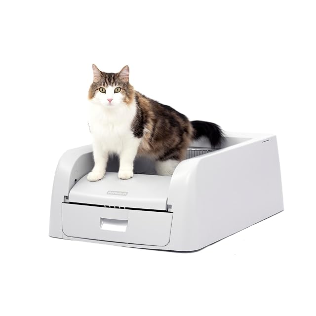 Bac autonettoyant PetSafe ScoopFree Clumping avec bac de recueil