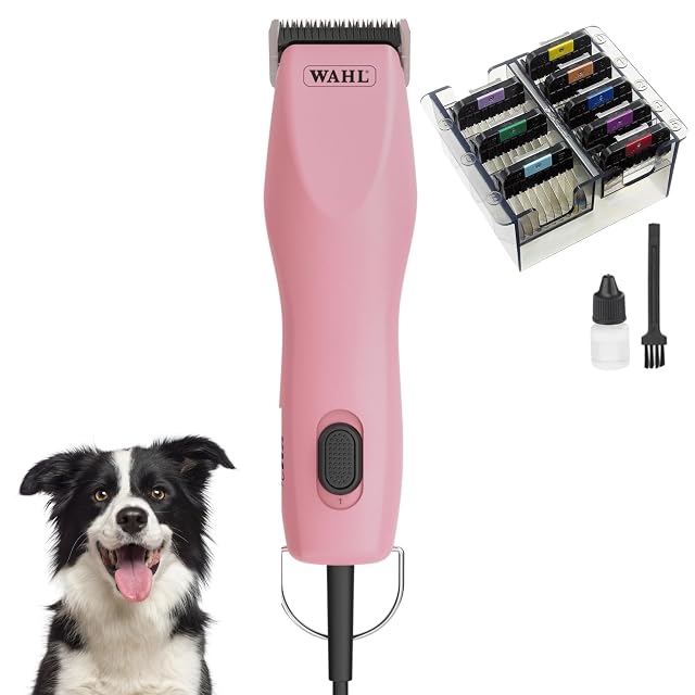 Tondeuse professionnelle pour chien Wahl KM2+